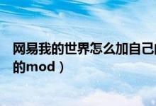 网易我的世界怎么加自己的天空（网易我的世界怎么加自己的mod）