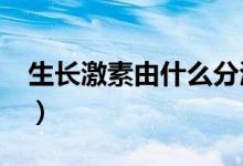 生长激素由什么分泌?（生长激素由什么分泌）