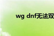 wg dnf无法双开（dnf无法双开）