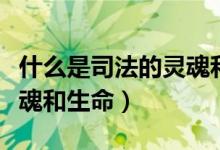 什么是司法的灵魂和生命我（什么是司法的灵魂和生命）