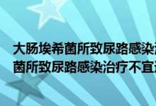 大肠埃希菌所致尿路感染治疗不宜选用克林霉素（大肠埃希菌所致尿路感染治疗不宜选用）