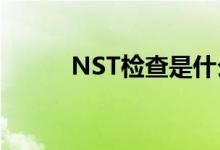 NST检查是什么意思（nst检查）