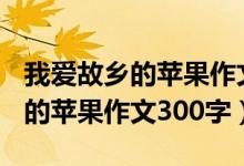 我爱故乡的苹果作文300字在庄浪（我爱故乡的苹果作文300字）