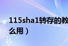 115sha1转存的教程（115sha1转存链接怎么用）