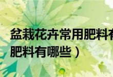 盆栽花卉常用肥料有哪些品种（盆栽花卉常用肥料有哪些）