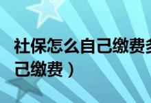 社保怎么自己缴费多少钱一个月（社保怎么自己缴费）