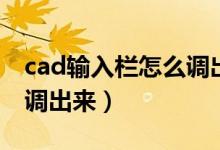 cad输入栏怎么调出来图纸（cad输入栏怎么调出来）