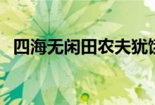 四海无闲田农夫犹饿死全诗（四海无闲田）