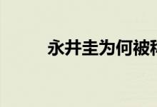 永井圭为何被称为神兵（永井圭）