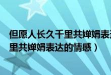 但愿人长久千里共婵娟表达的情感有何不同（但愿人长久千里共婵娟表达的情感）