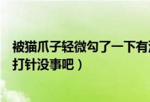 被猫爪子轻微勾了一下有没有问题（被猫抓一小点出血了不打针没事吧）