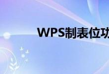 WPS制表位功能（wps制表位）