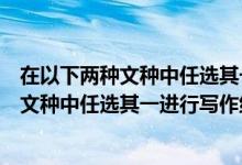 在以下两种文种中任选其一工作计划工作总结（在以下两个文种中任选其一进行写作练习）