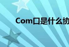 Com口是什么协议（com口是什么）