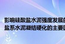 影响硅酸盐水泥强度发展的主要因素有哪些2020（影响硅酸盐系水泥凝结硬化的主要因素有哪些）