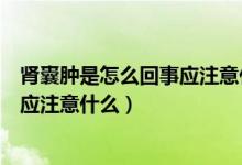 肾囊肿是怎么回事应注意什么饮食禁忌（肾囊肿是怎么回事应注意什么）