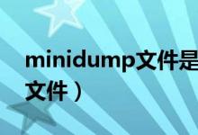 minidump文件是空的（minidump是什么文件）