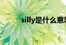 silly是什么意思（si是什么意思）