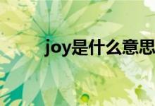 joy是什么意思（toy是什么意思）