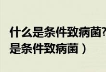 什么是条件致病菌?其致病条件有哪些?（什么是条件致病菌）