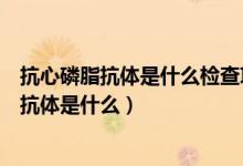 抗心磷脂抗体是什么检查项目边界范围怎么回事（抗心磷脂抗体是什么）