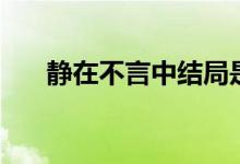 静在不言中结局是什么（静在不言中）