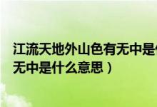 江流天地外山色有无中是什么意思简单（江流天地外山色有无中是什么意思）