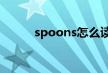 spoons怎么读（spoon怎么读）