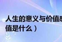 人生的意义与价值感悟格言（人生的意义与价值是什么）