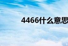 4466什么意思网络语言（4466）