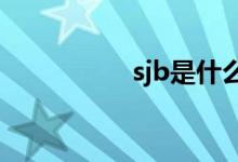 sjb是什么意思?（sjb）