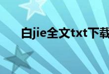 白jie全文txt下载少（白算计txt下载）