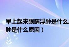 早上起来眼睛浮肿是什么原因导致的中医（早上起来眼睛浮肿是什么原因）