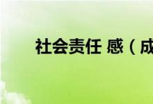 社会责任 感（成年人的社会责任感）