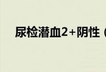 尿检潜血2+阴性（尿潜血2个加号阴性）