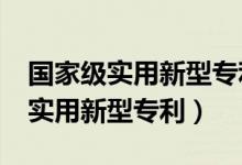 国家级实用新型专利的意义和作用?（国家级实用新型专利）