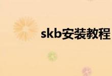 skb安装教程（skse怎么安装）