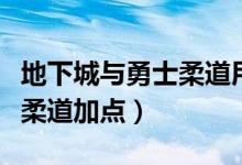 地下城与勇士柔道用什么武器（地下城与勇士柔道加点）