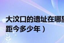 大汶口的遗址在哪里（大汶口居民生活的时间距今多少年）