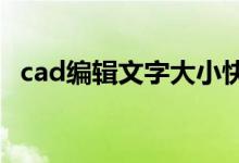 cad编辑文字大小快捷键（CAD编辑文字）