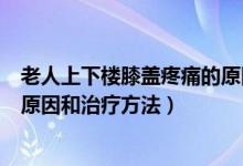 老人上下楼膝盖疼痛的原因和治疗方法（上下楼膝盖疼痛的原因和治疗方法）