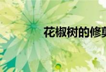 花椒树的修剪方法（花椒树）