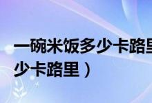 一碗米饭多少卡路里跑多少分钟（一碗米饭多少卡路里）