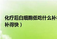 化疗后白细胞低吃什么补得快食疗（化疗后白细胞低吃什么补得快）