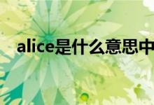 alice是什么意思中文（alice是什么意思）