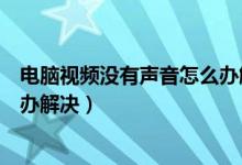 电脑视频没有声音怎么办解决教程（电脑视频没有声音怎么办解决）