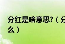 分红是啥意思?（分红股是什么意思指的是什么）