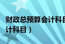 财政总预算会计科目共分为（新财政总预算会计科目）