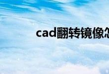 cad翻转镜像怎么做（cad翻转）