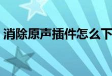 消除原声插件怎么下载安装（消除原声插件）